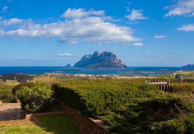 Villa a Porto San Paolo - Villa Alberto - incredibile vista su Tavolara