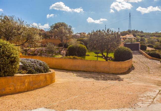 Villa a Porto San Paolo - Villa Alberto - incredibile vista su Tavolara