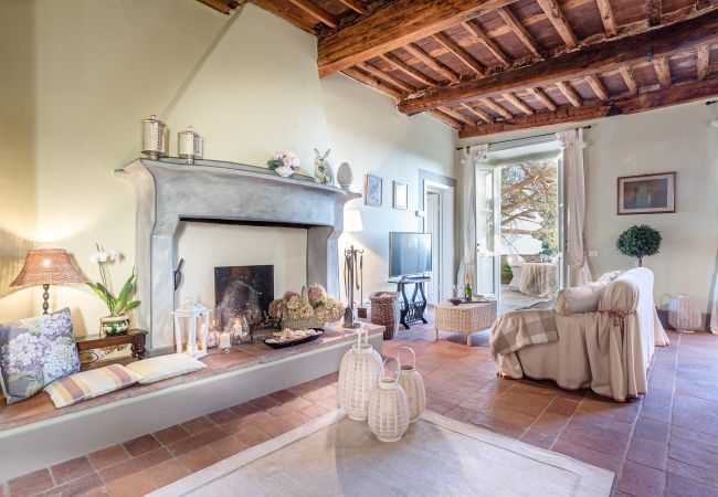 Villa a Capannori - FRANTOIO a Romantic Farmhouse Apartment with Terrace and Views