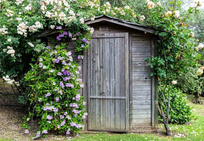 Villa a Capannori - Villa Il Palagio Villa a Capannori - Villa Il Palagio