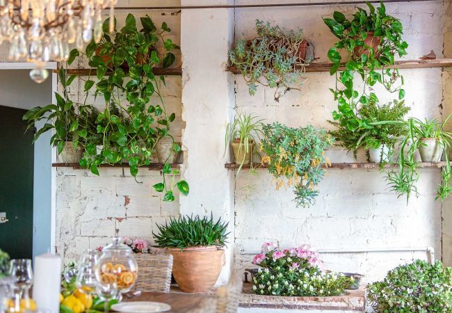 Villa a Capannori - Villa Valgiano Villa a Capannori - Villa Valgiano