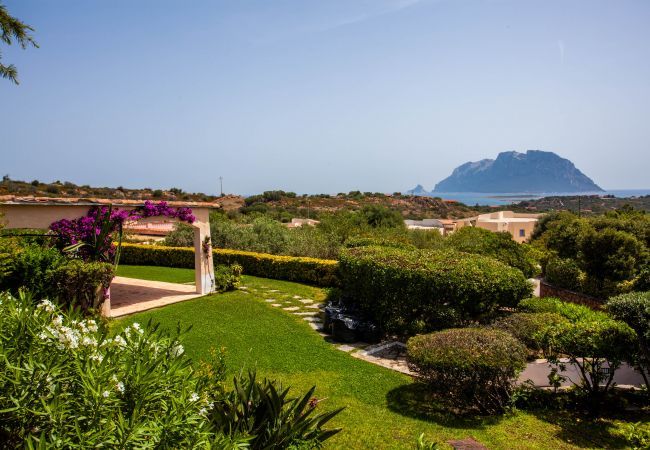Villa a Olbia - Villa Kalè Villa a Olbia - Villa Kalè