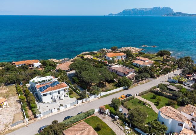 Appartamento a Olbia - WLofts 14 Appartamento a Olbia - WLofts 14