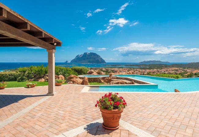 Villa a Porto San Paolo -  Villa Halliv - infinity pool con affaccio su Tavolara