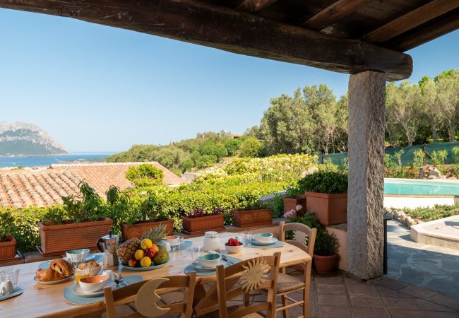 Villa a Porto San Paolo - Villa Kiki - villa con infinity pool su Tavolara