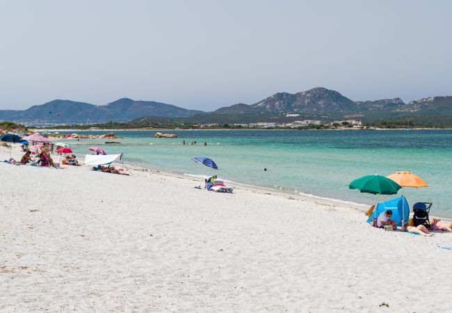 Appartamento a Olbia - Myrsine 7D Appartamento a Olbia - Myrsine 7D