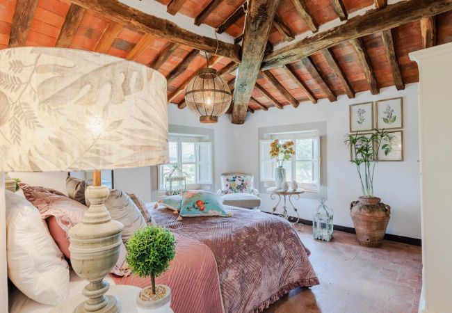 Villa a Pieve di Compito - Villa Aperitivo In Pieve di Compito Villa a Pieve di Compito - Villa Aperitivo In Pieve di Compito