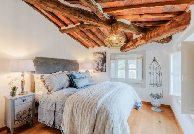 Villa a Pieve di Compito - Villa Aperitivo In Pieve di Compito Villa a Pieve di Compito - Villa Aperitivo In Pieve di Compito