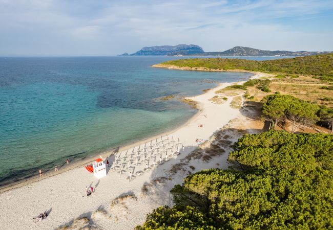 Villa a Olbia - Villa Bay Pine - accesso esclusivo sulla spiaggia di Pittulongu, wi-fi