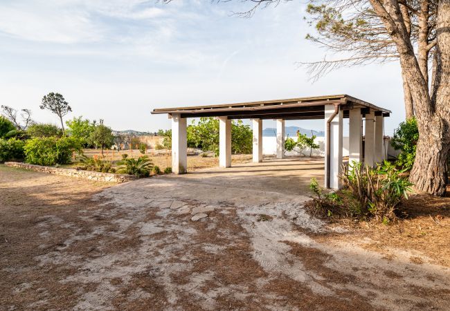 Villa a Olbia - Villa Bay Pine Villa a Olbia - Villa Bay Pine