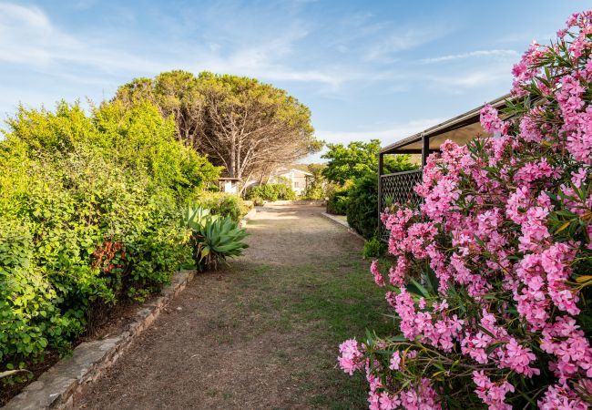 Villa a Olbia - Villa Bay Pine Villa a Olbia - Villa Bay Pine
