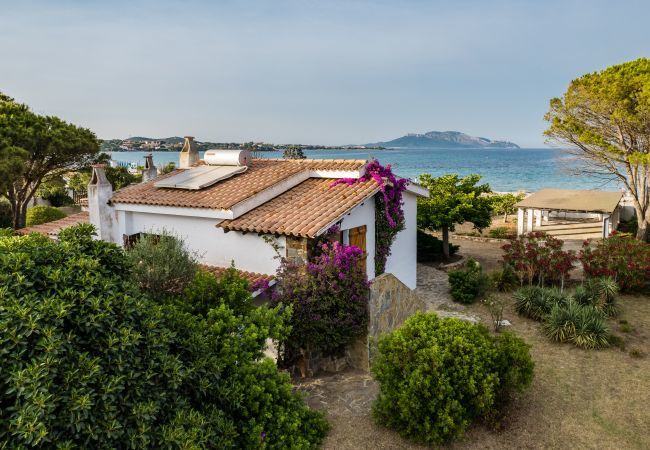 Villa a Olbia - Villa Bay Pine Villa a Olbia - Villa Bay Pine