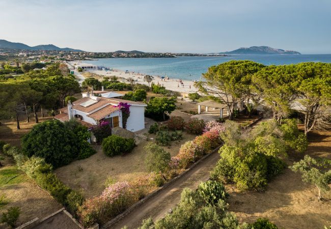 Villa a Olbia - Villa Bay Pine Villa a Olbia - Villa Bay Pine