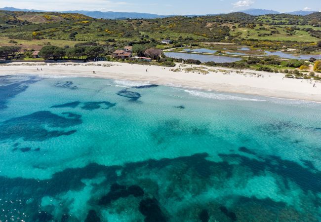 Villa a Olbia - Villa Bay Pine - accesso esclusivo sulla spiaggia di Pittulongu, wi-fi