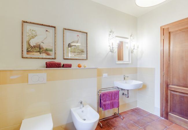 Villa a Orentano - Villa Drago Villa a Orentano - Villa Drago