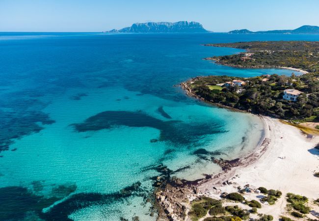 Villa a Porto Cervo - Villa Wave - raffinata villa con piscina e vista sul Pevero