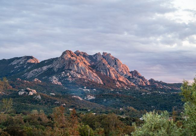 Villa a Porto Cervo - Villa Zenith | villa con piscina privata Porto Cervo