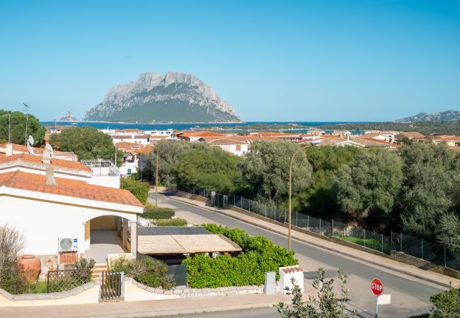 Appartamento a Porto San Paolo - Casa Cindy Appartamento a Porto San Paolo - Casa Cindy