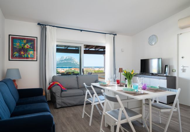 Appartamento a Porto San Paolo - Casa Cindy Appartamento a Porto San Paolo - Casa Cindy