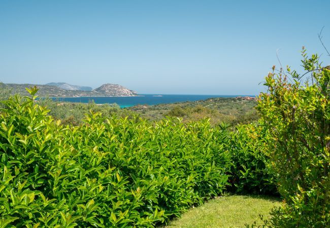 Appartamento a Porto San Paolo - Il Poggio 8 Appartamento a Porto San Paolo - Il Poggio 8
