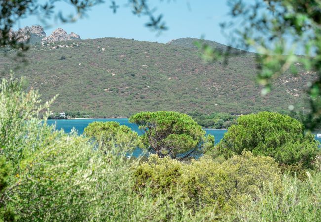 Appartamento a Porto Rotondo - Caletta Nest 88 Appartamento a Porto Rotondo - Caletta Nest 88