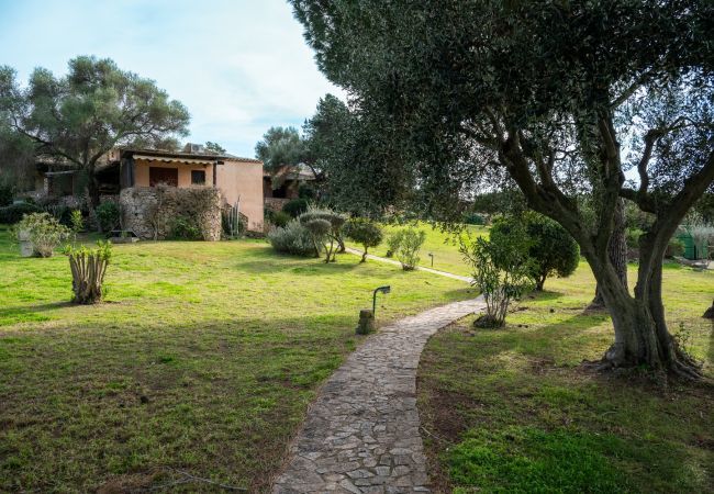 Appartamento a Porto Rotondo - Caletta Nest 38 Appartamento a Porto Rotondo - Caletta Nest 38