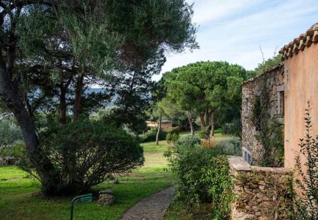 Appartamento a Porto Rotondo - Caletta Nest 38 Appartamento a Porto Rotondo - Caletta Nest 38