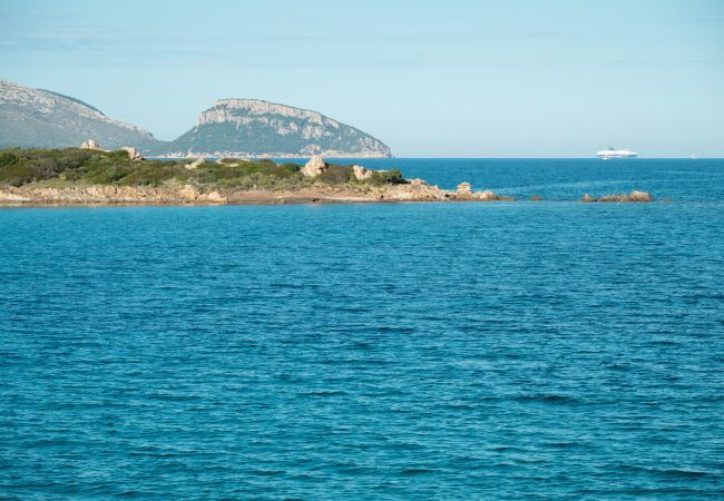 Appartamento a Olbia - Lazulino Suite Appartamento a Olbia - Lazulino Suite