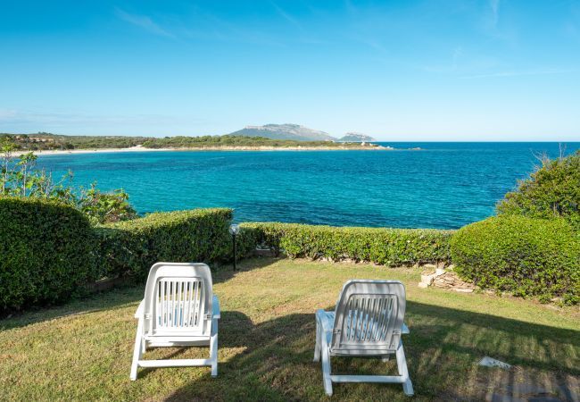 Appartamento a Olbia - Lazulino Suite Appartamento a Olbia - Lazulino Suite