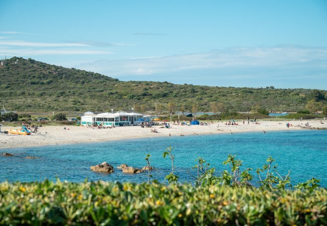Appartamento a Olbia - Lazulino Suite Appartamento a Olbia - Lazulino Suite