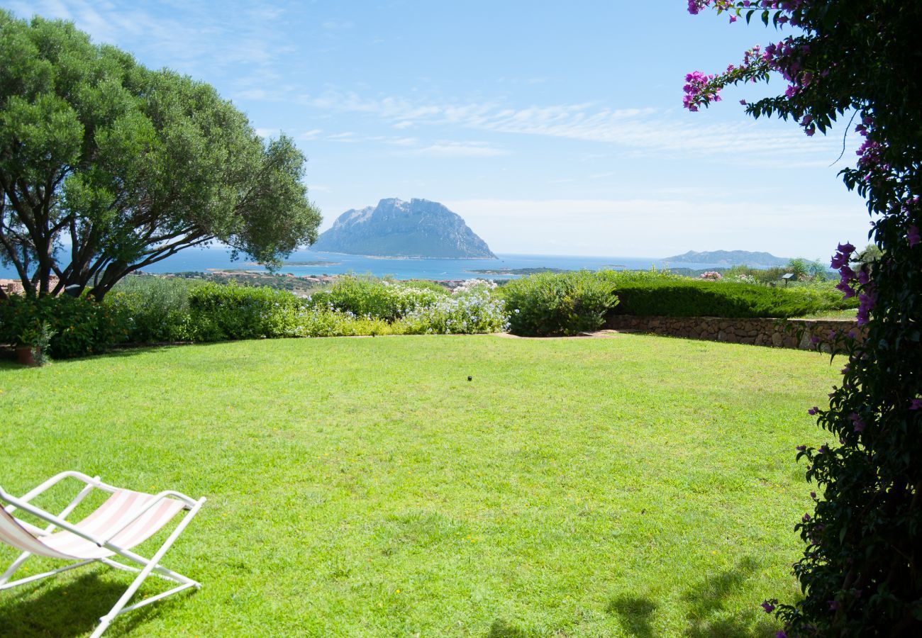 Villa a Porto San Paolo - Villa Alberto - incredibile vista su Tavolara