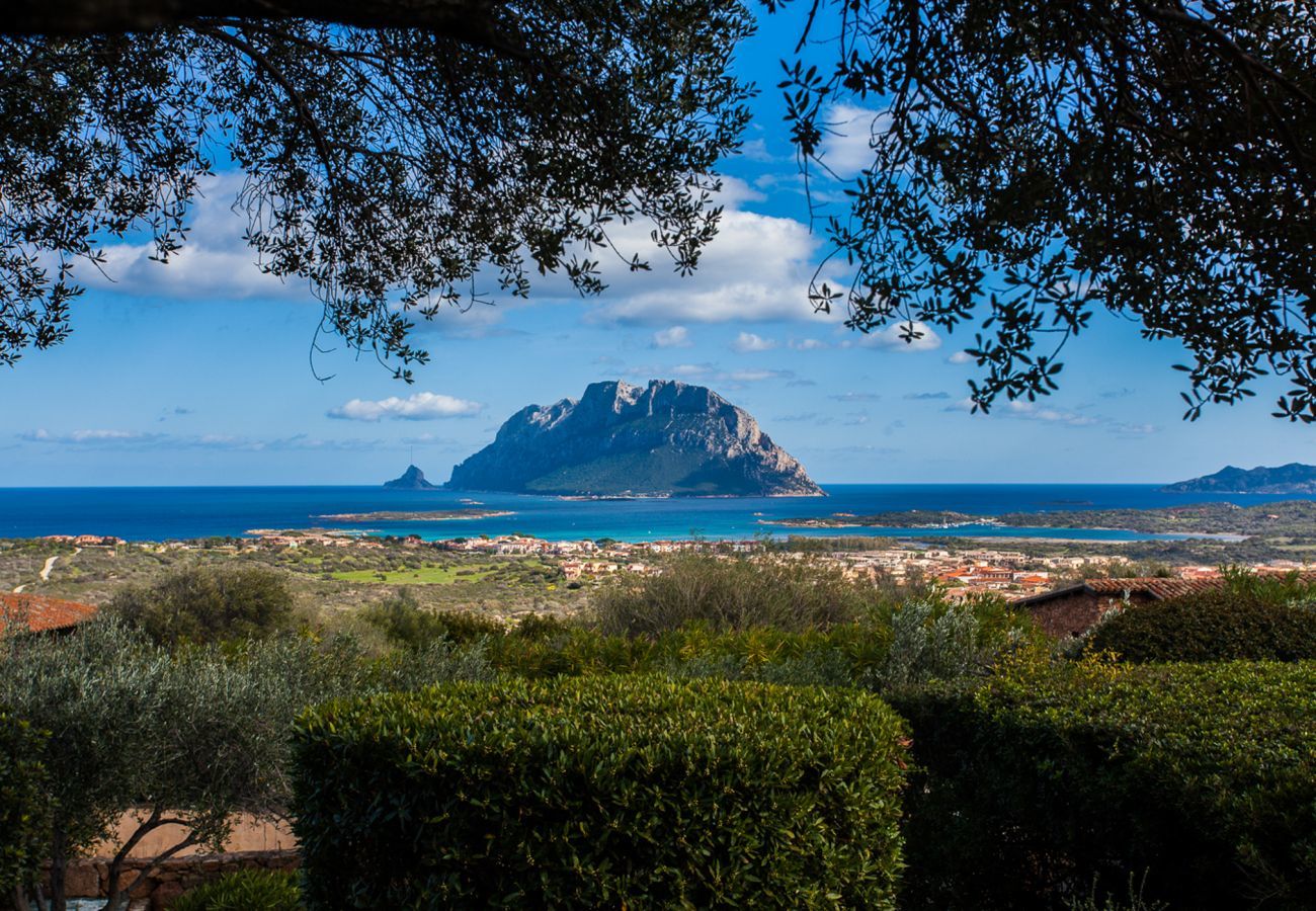 Villa a Porto San Paolo - Villa Alberto - incredibile vista su Tavolara