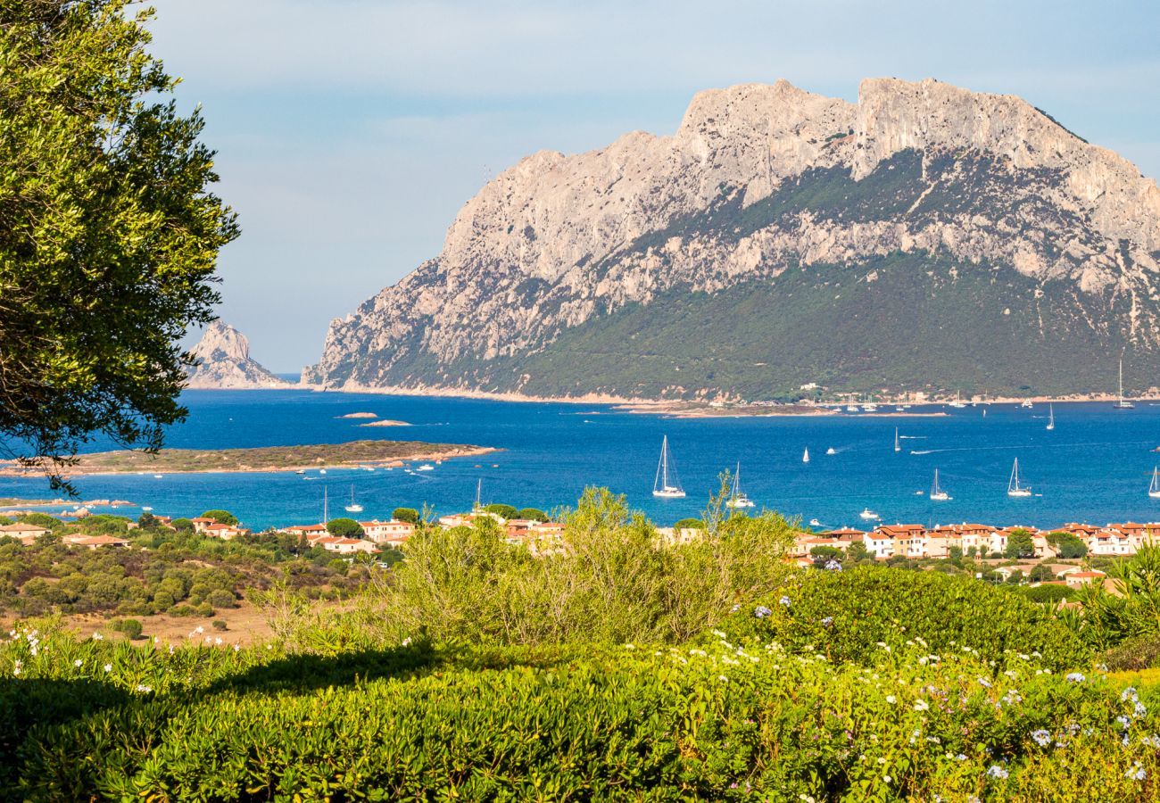 Villa a Porto San Paolo - Villa Alberto - incredibile vista su Tavolara