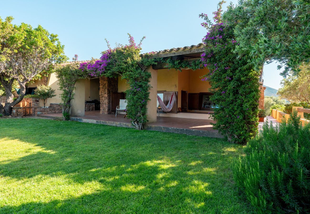 Villa a Porto San Paolo - Villa Alberto