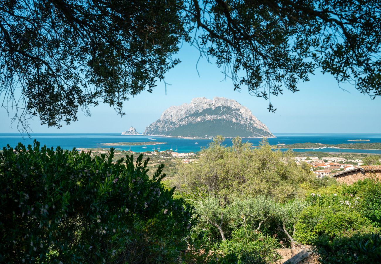 Villa a Porto San Paolo - Villa Alberto