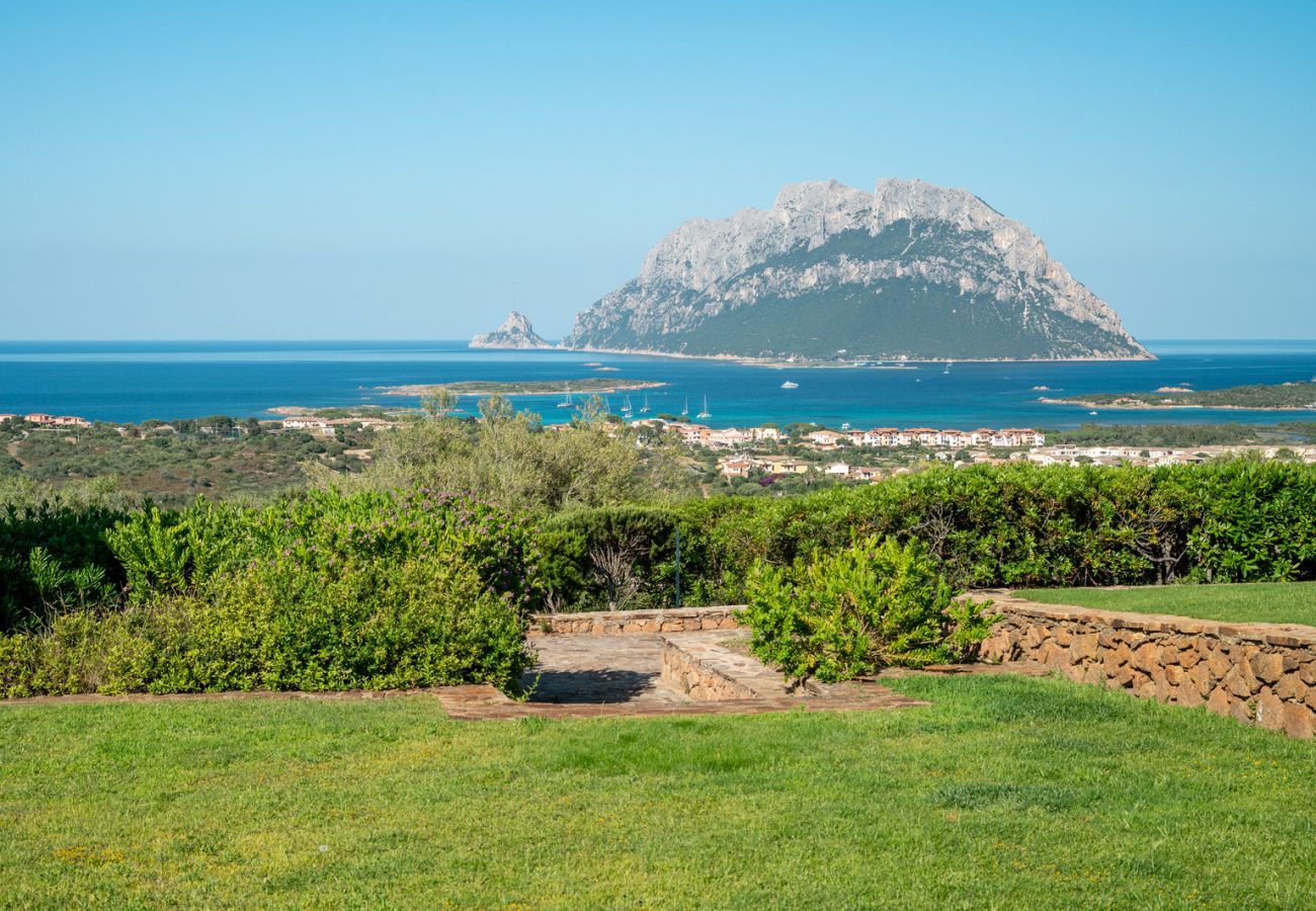 Villa a Porto San Paolo - Villa Alberto