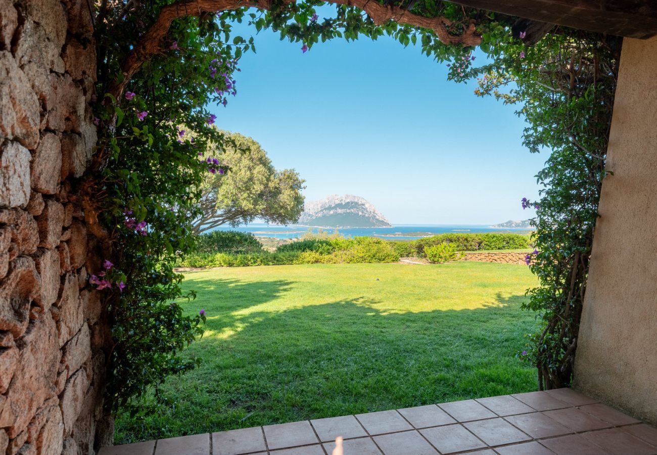 Villa a Porto San Paolo - Villa Alberto