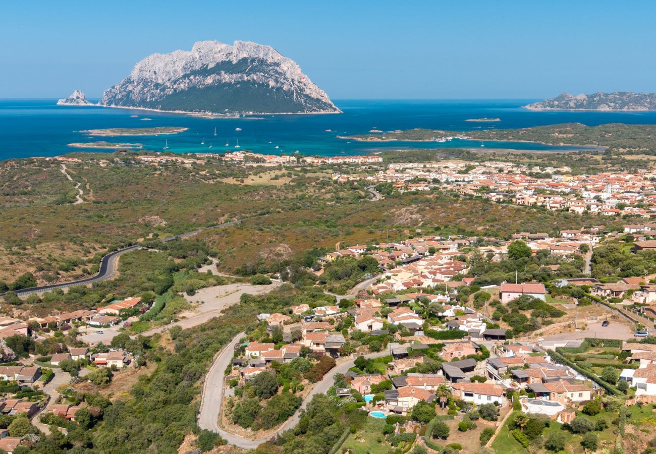 Villa a Porto San Paolo - Villa Alberto