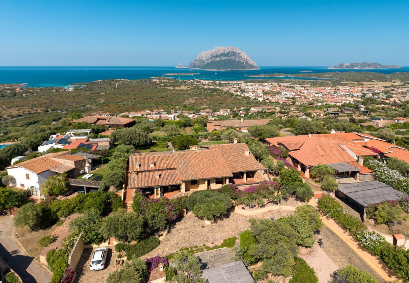 Villa a Porto San Paolo - Villa Alberto