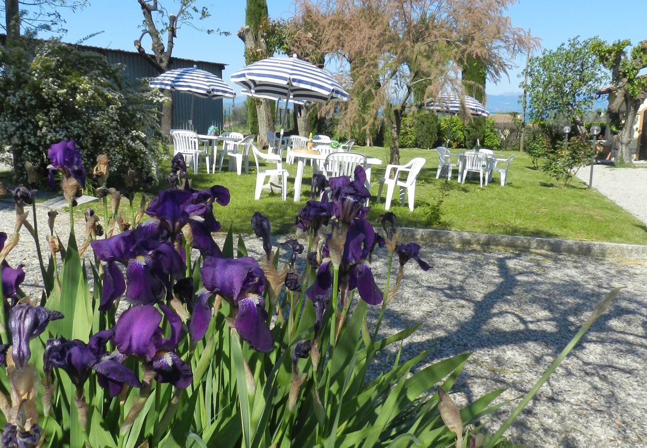 Appartamento a Lazise - ROSA BACCARAT NR 5