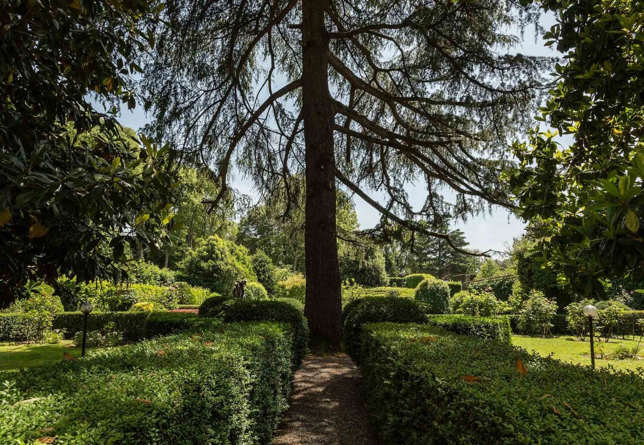 Appartamento a Lucca - Casa Beatrice