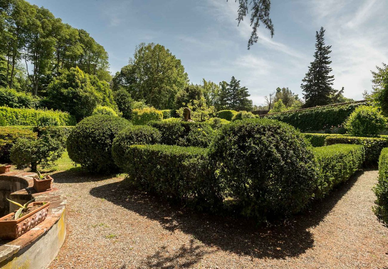 Appartamento a Lucca - Casa Beatrice