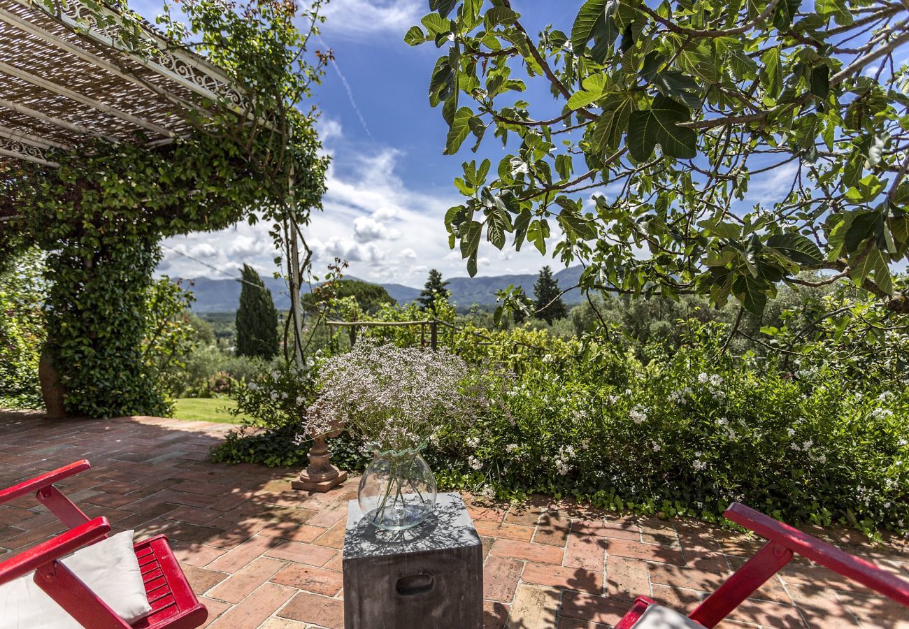 Villa a Lucca - VILLA CARCIOFAIA: Charming Luxury Tuscan Villa with Pool surrounded by Vineyards with Views over Lucca Town