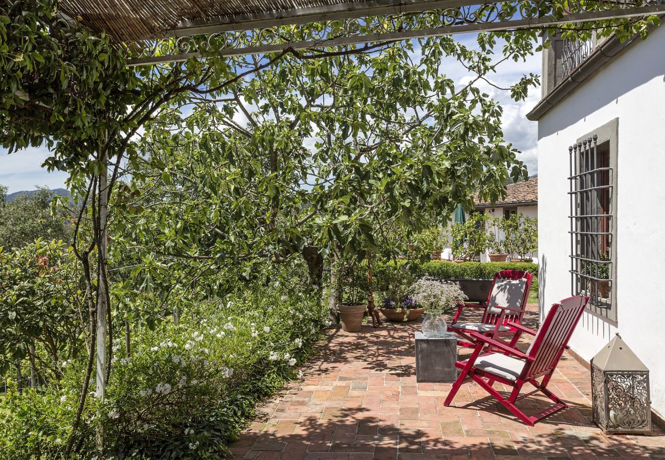 Villa a Lucca - VILLA CARCIOFAIA: Charming Luxury Tuscan Villa with Pool surrounded by Vineyards with Views over Lucca Town