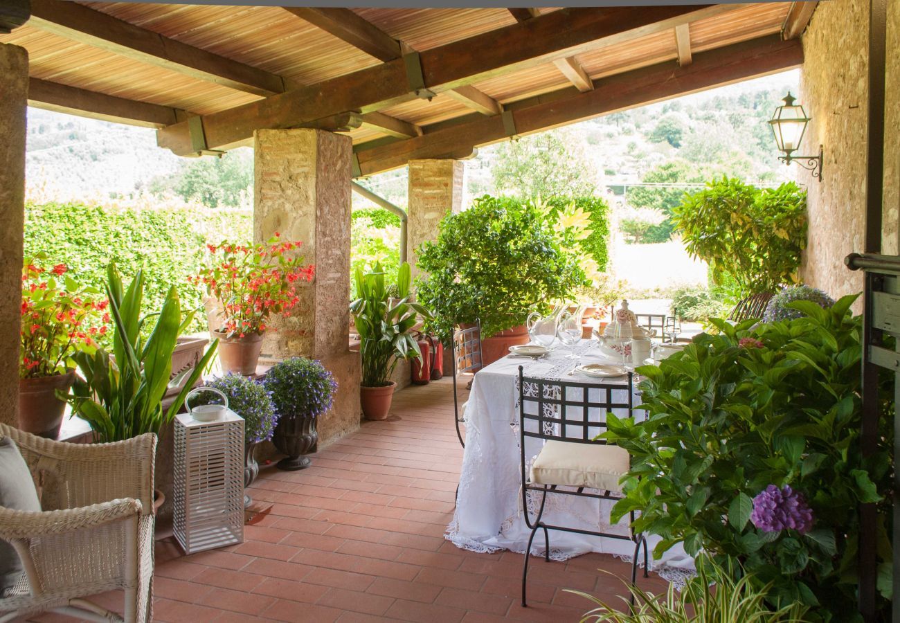 Villa a Camaiore - BICOCCHE FARMHOUSE: Country Stone Villa with Pool in Camaiore between Lucca & Beaches of Versilia