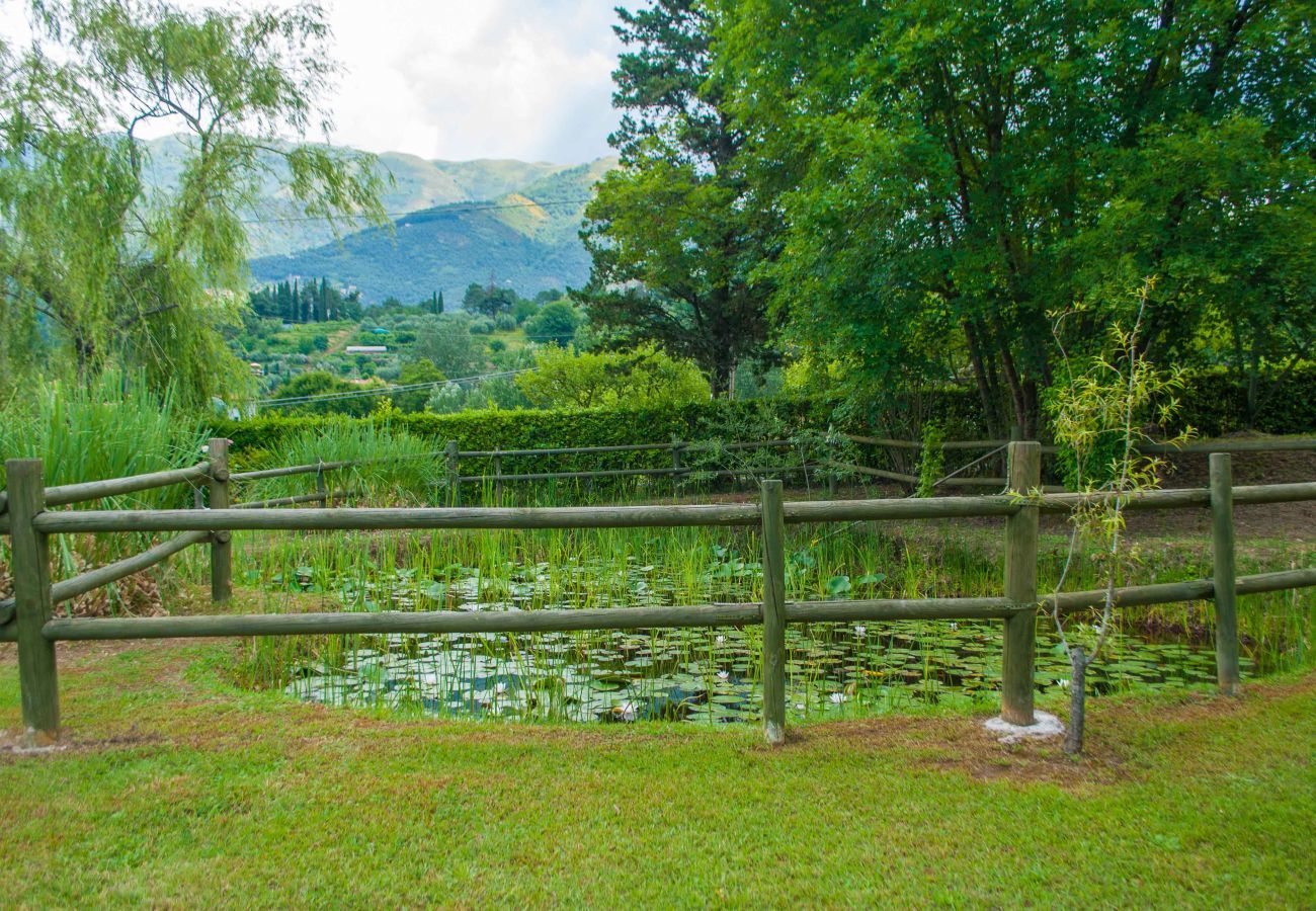 Villa a Camaiore - BICOCCHE FARMHOUSE: Country Stone Villa with Pool in Camaiore between Lucca & Beaches of Versilia