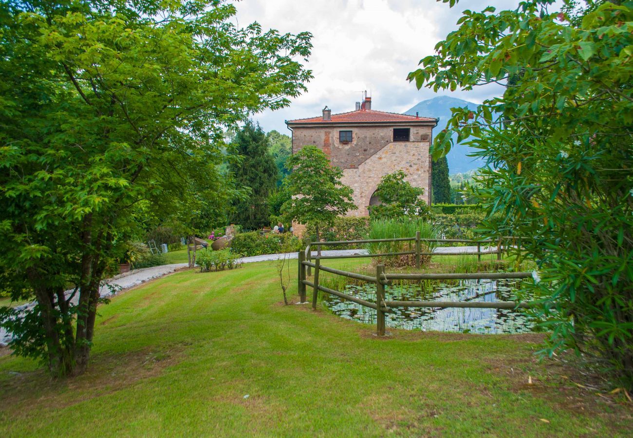 Villa a Camaiore - BICOCCHE FARMHOUSE: Country Stone Villa with Pool in Camaiore between Lucca & Beaches of Versilia