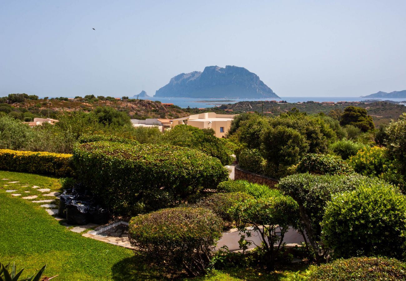 Villa a Olbia - Villa Kalè