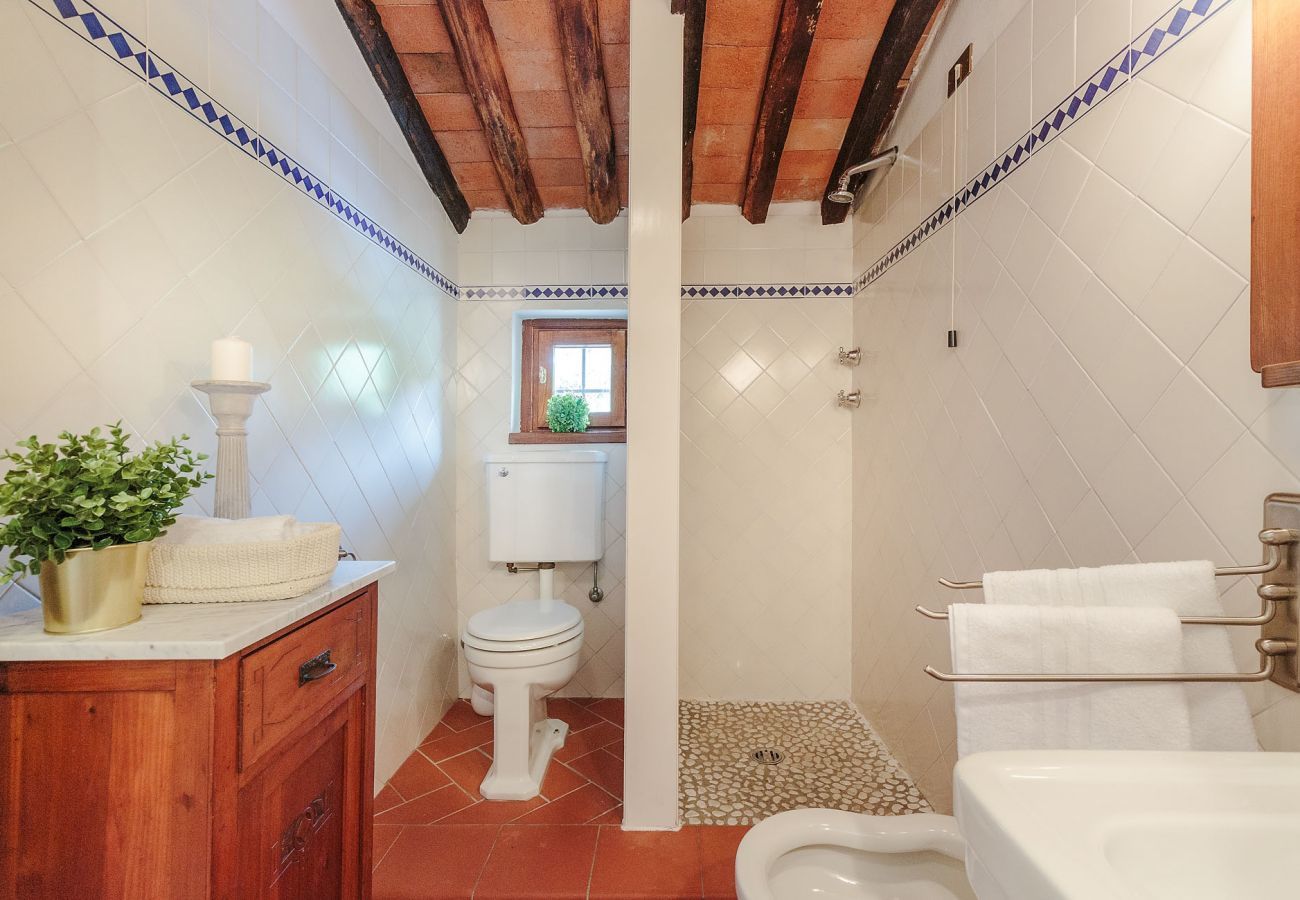Villa a Lucca - CASALE OLIVA Romantic Hilltop Stone Farmhouse
