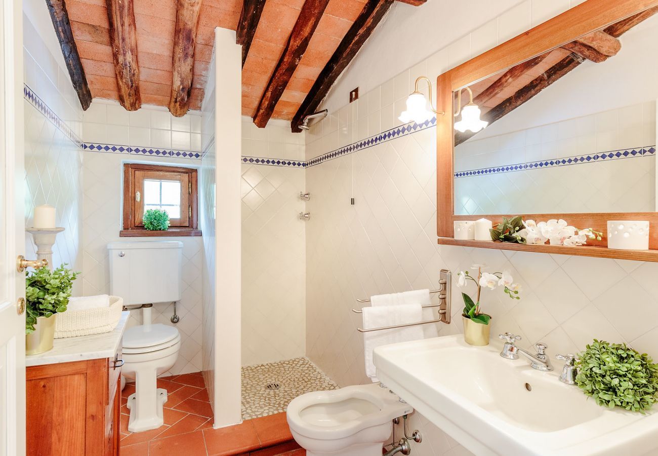 Villa a Lucca - CASALE OLIVA Romantic Hilltop Stone Farmhouse